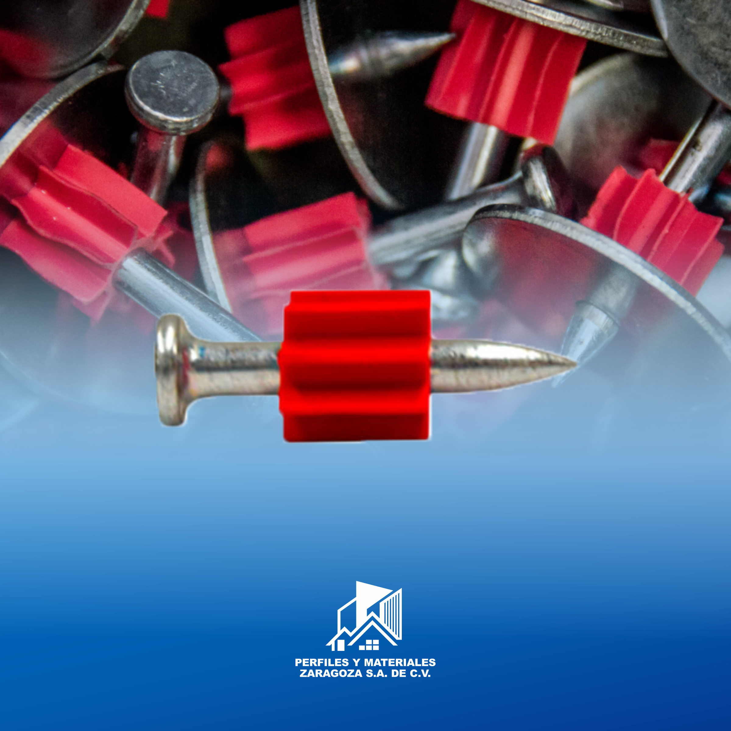 CIENTO DE CLAVOS   DE S 1"