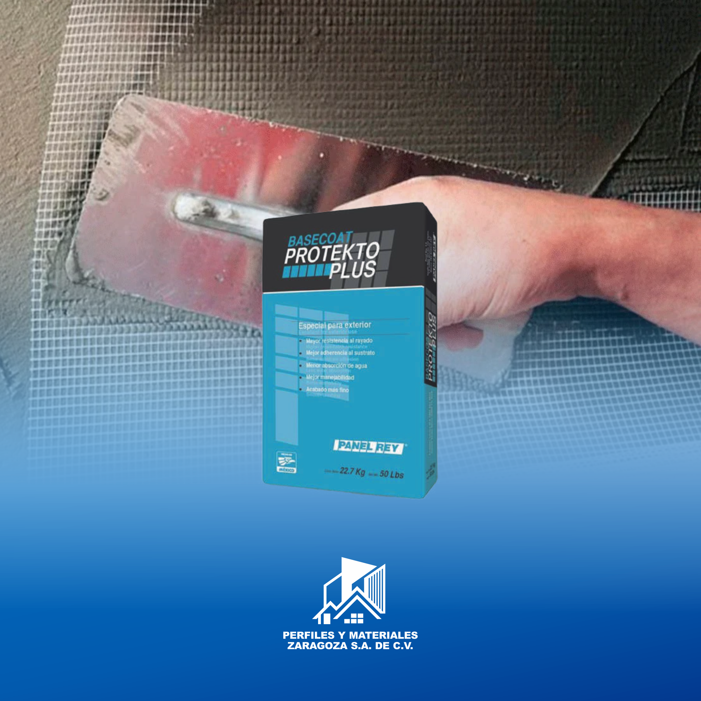 BULTO DE BASECOAT PROTECTO PLUS 22KL PANEL REY